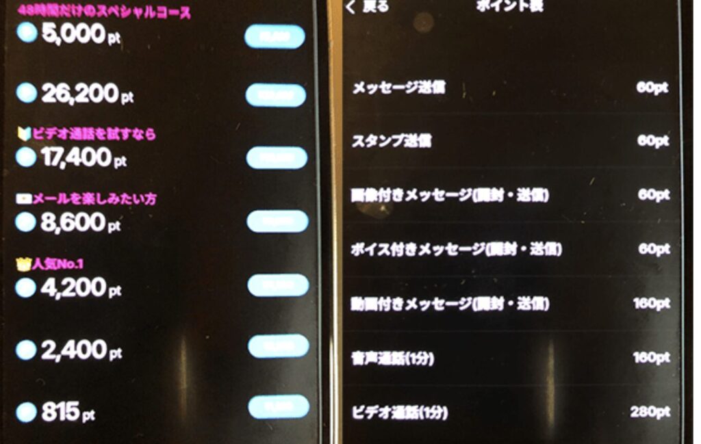 オーシャン料金