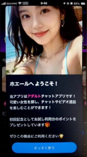 ビデオ通話ホエールのアイキャッチに書かれている真実